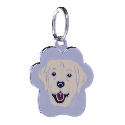 Picture of TAG RAINBOW LABRADOR BEIGE